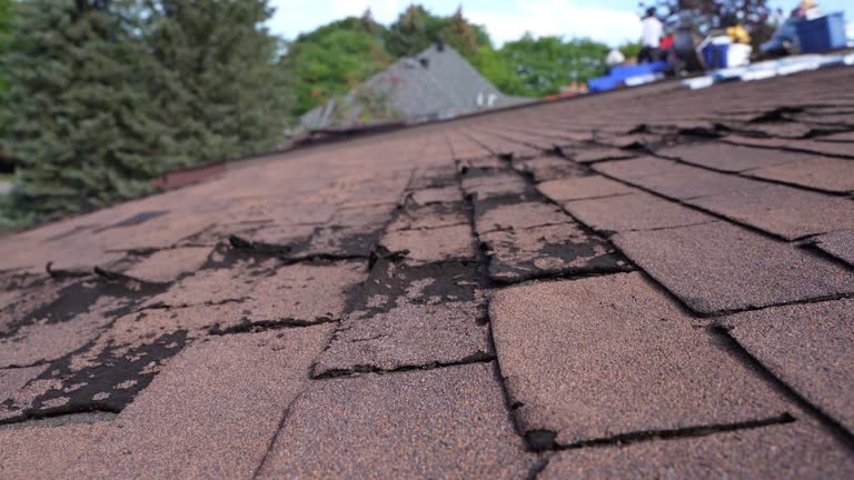 Best Roof Coating and Sealing  in Stanfield, OR